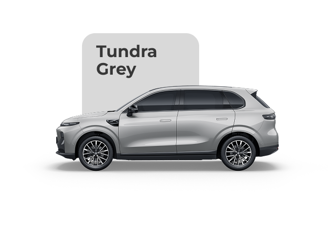 Tundra Grey