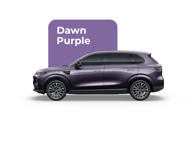 Dawn Purple