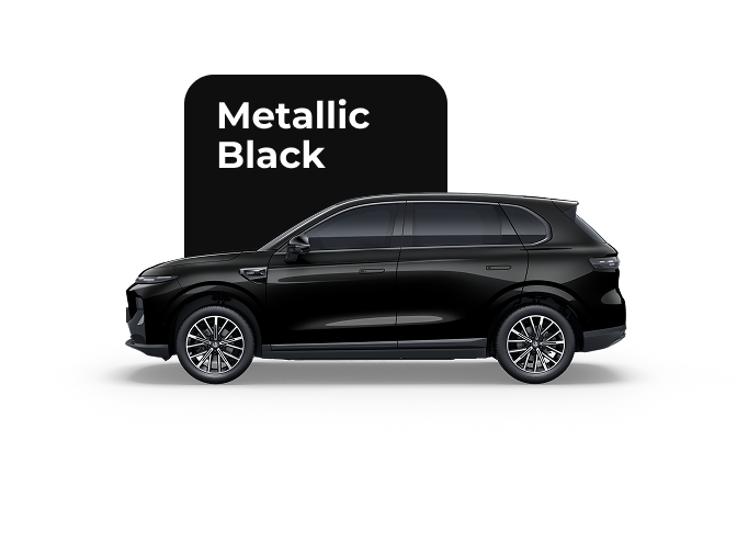 Metallic Black